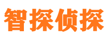 元阳外遇出轨调查取证